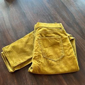 Loft Crushed Velvet Skinny Pants, 4/27